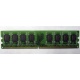 Модуль оперативной памяти 4096Mb DDR2 Patriot PSD24G8002 pc-6400 (800MHz)  (Нефтеюганск)