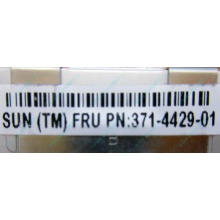 Серверная память SUN (FRU PN 371-4429-01) 4096Mb (4Gb) DDR3 ECC в Нефтеюганске, память для сервера SUN FRU P/N 371-4429-01 (Нефтеюганск)