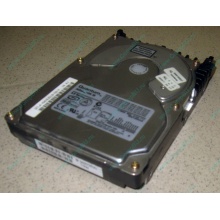 Жесткий диск 18.4Gb Quantum Atlas 10K III U160 SCSI (Нефтеюганск)
