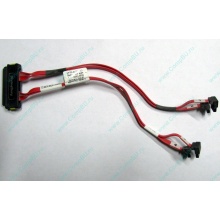 SATA-кабель для корзины HDD HP 451782-001 459190-001 для HP ML310 G5 (Нефтеюганск)