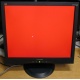 Монитор 19" ViewSonic VA903b (1280x1024) есть битые пиксели (Нефтеюганск)