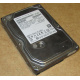 HDD 500Gb Hitachi HDS721050DLE630 донор на запчасти (Нефтеюганск)