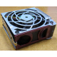 HP 224977 (224978-001) for Proliant ML370 G2/G3/G4 (Нефтеюганск).