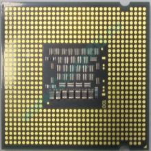 Процессор Intel Celeron Dual Core E1200 (2x1.6GHz) SLAQW socket 775 (Нефтеюганск)