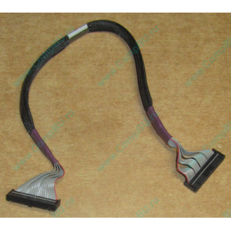 FDD-кабель HP 271946-006 для HP ML370 G3 G4 (Нефтеюганск)
