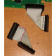 6017B0045701 Шлейф 24pin для Intel C74974-401 T0043401-B01 корпуса SR2400 (Нефтеюганск)