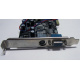 NV18-3710D 64Mb nVidia GeForce4 MX440 AGP 8x (Нефтеюганск)