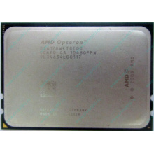 Процессор AMD Opteron 6128 (8x2.0GHz) OS6128WKT8EGO s.G34 (Нефтеюганск)