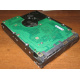 Жесткий диск 300Gb 15k Seagate Cheetach ST3300656SS 15K.6 Dell 9CH066-050 6G SAS (Нефтеюганск)