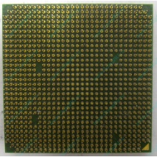 Процессор AMD Sempron 3000+ (1.6GHz) SDA3000IAA3CN s.AM2 (Нефтеюганск)